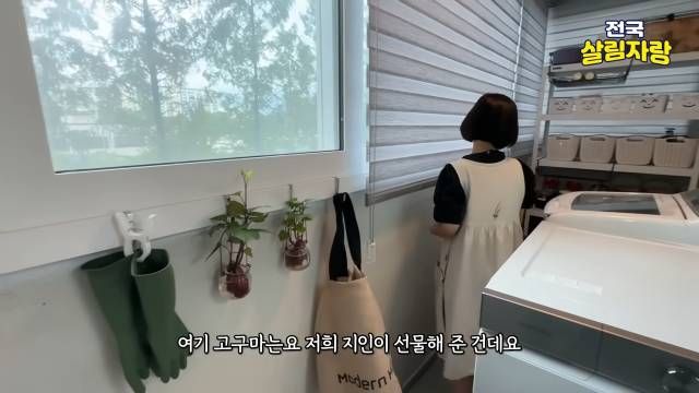 싹 난 고구마는 물에 담가 키운다 — 눈이 즐거워서 — 전국살림자랑 ep.13 9:17 장면