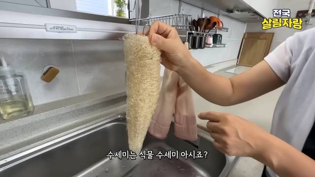 수세미는 구멍이 숭숭한 식물 수세미로 — 전국살림자랑 ep.17 3:17 장면