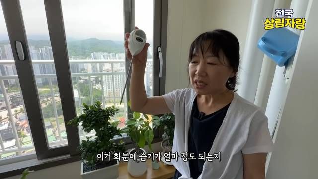 2~3천 원짜리 화분 습도 측정기 — 전국살림자랑 ep.17 11:22 장면