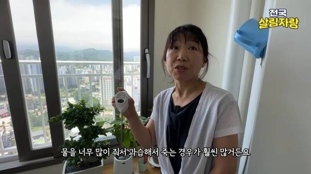 식물은 물을 안 줘서가 아니라 과습으로 죽습니다 — 전국살림자랑 ep.17 11:43 장면