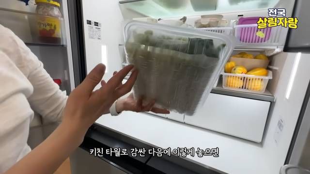 파는 키친타월로 감싸 페트병 자른 통에