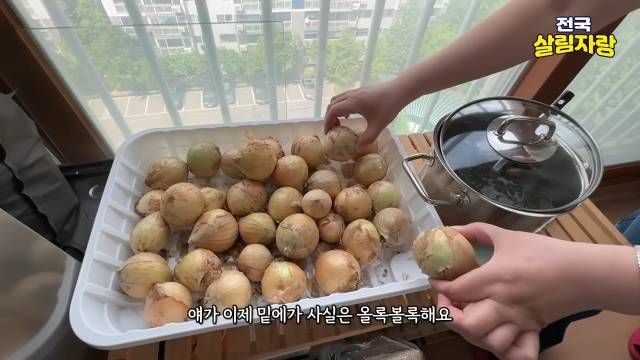 올록볼록한 재활용 통에 채소 널어 오래 보관 — 전국살림자랑 ep.5 13:42 장면