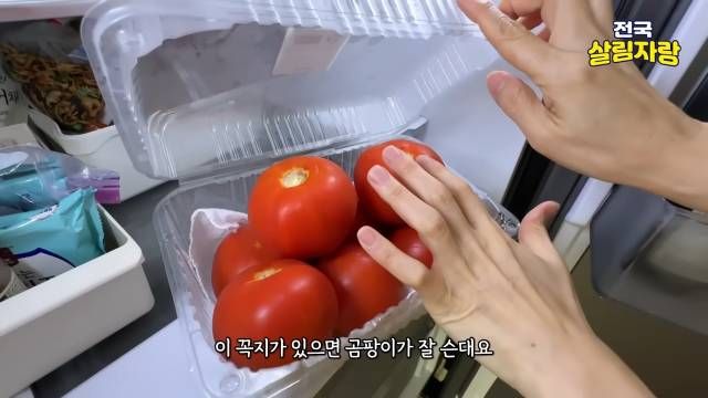 토마토는 꼭지가 있으면 곰팡이가 잘 슨다 — 전국살림자랑 ep.8 4:36 장면